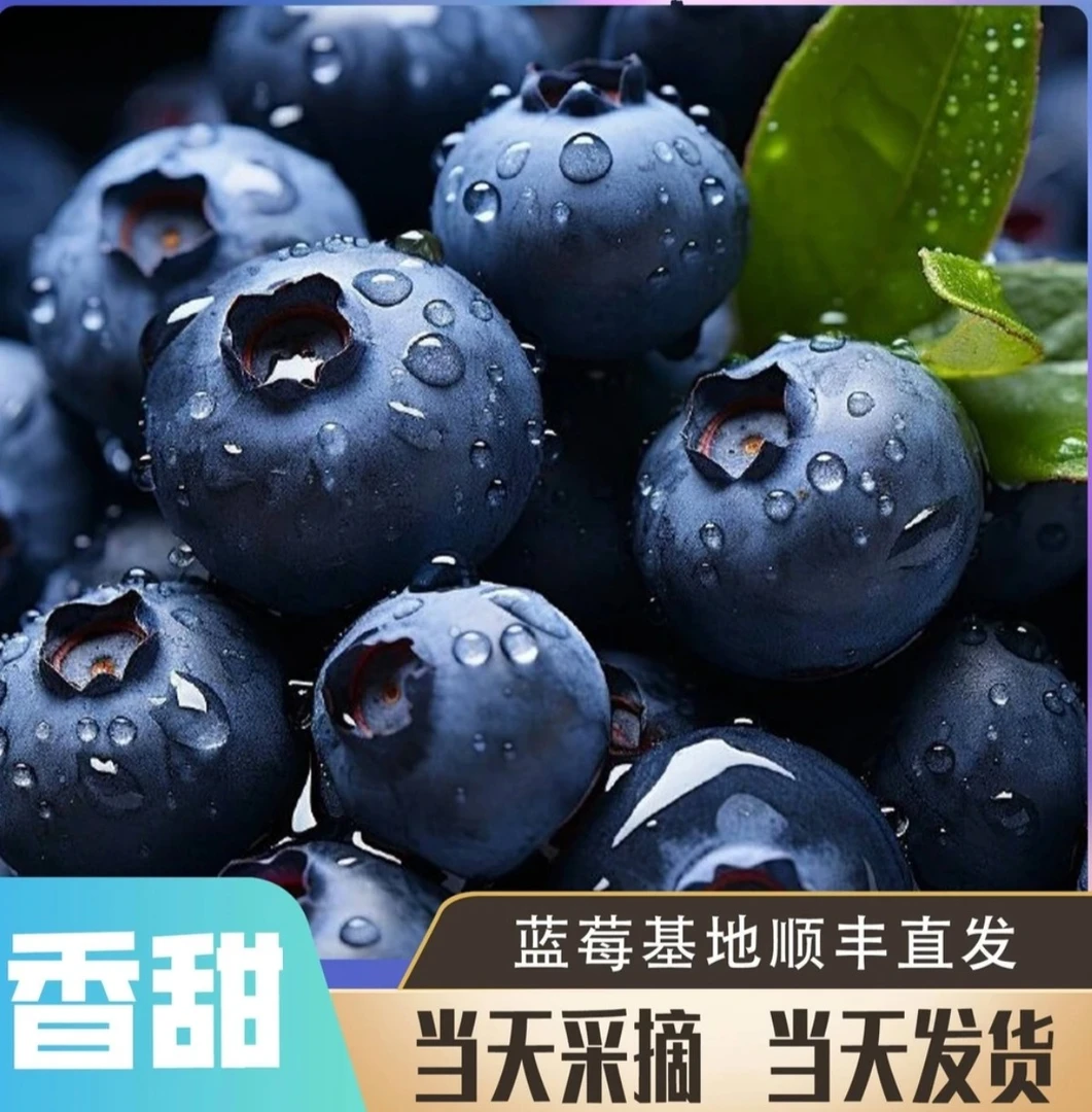 云南蓝莓鲜果新鲜高端水果当季怡颗高山花香孕妇包邮顺丰京东