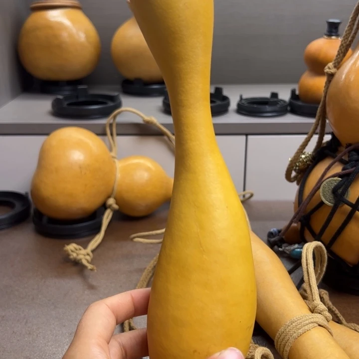 宝*爷邮政邮政邮政邮政邮政哟