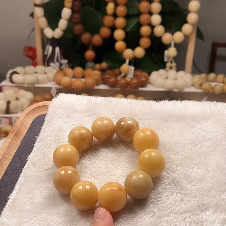 吊坠菩提根/象牙果卡24微瑕
