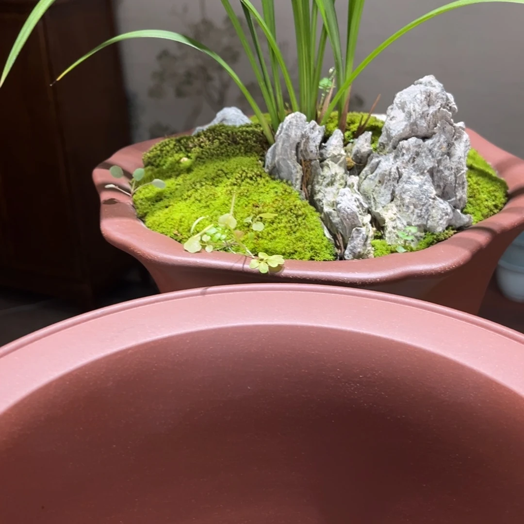 随***心高温正宗手工花盆