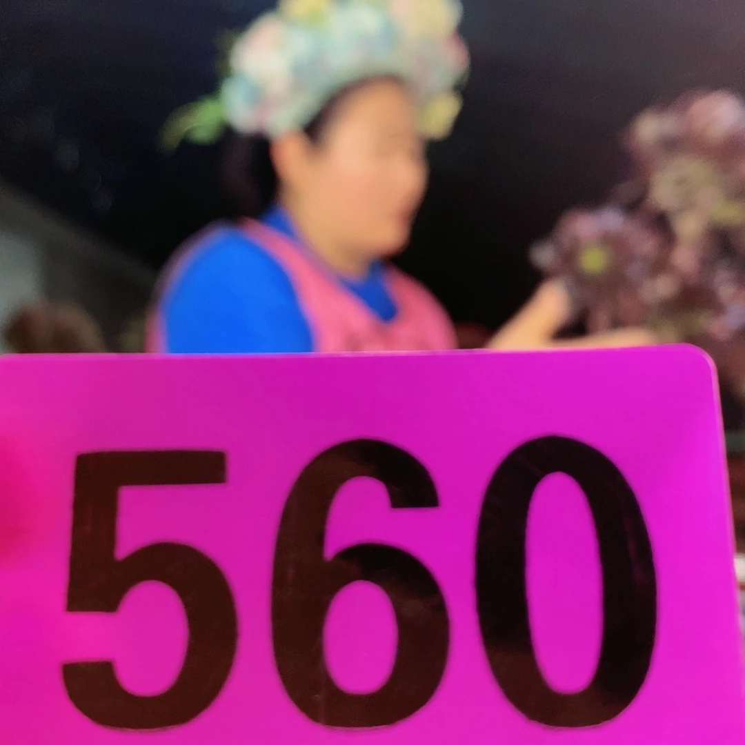 ssssssssssssssssssssssss560