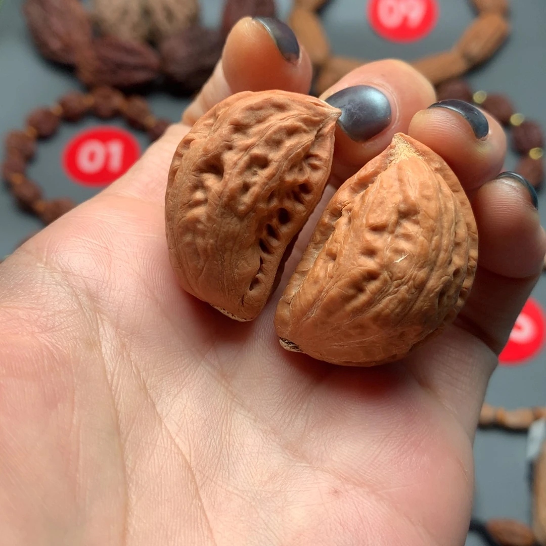 核桃8东北秋子半臂江山