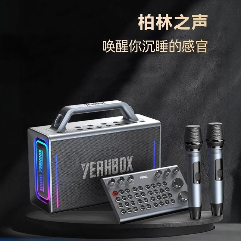 柏林之声雷霆500蓝牙音响高音质K歌户外唱歌高端声卡一体机音箱