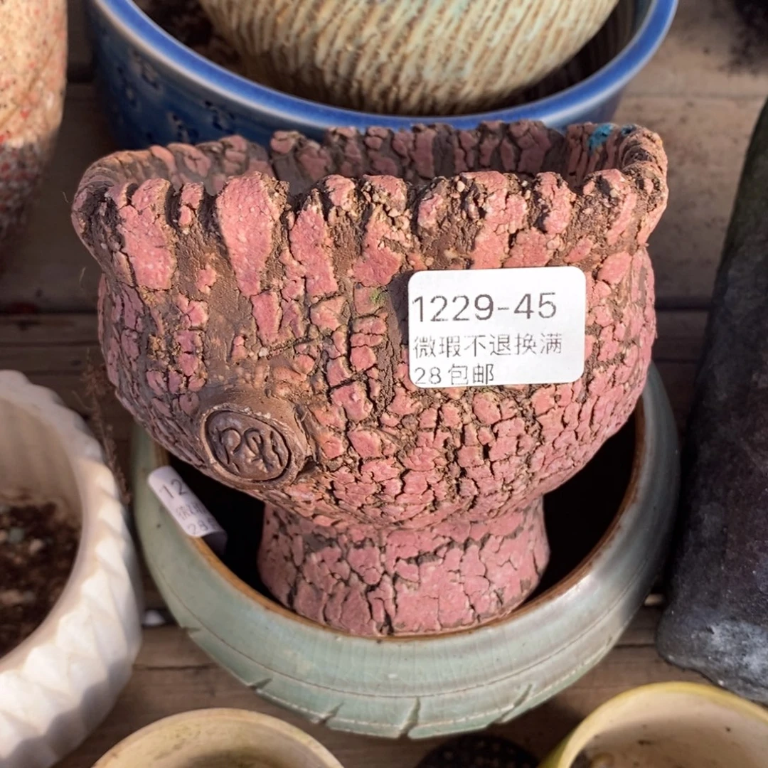 45号多肉盆口径11