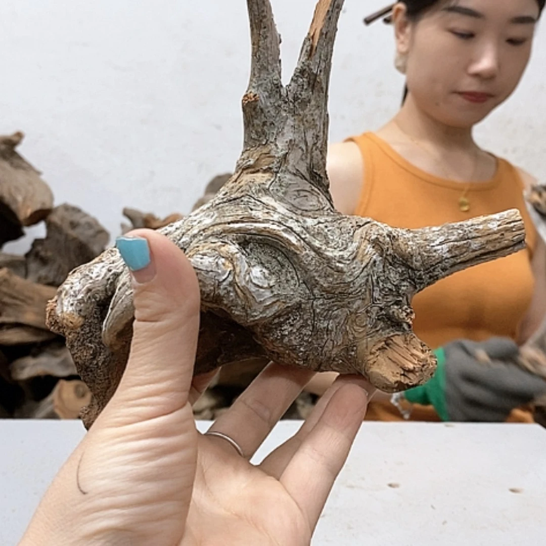 【闪购商品】柏木山****司我们都是好孩子