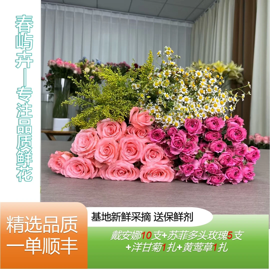 精致生活花束戴安娜玫瑰苏菲洋甘菊黄莺鲜花组合基地直发顺丰包邮