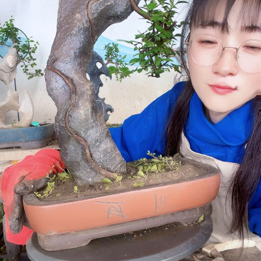快***鸭直播间不见不散年