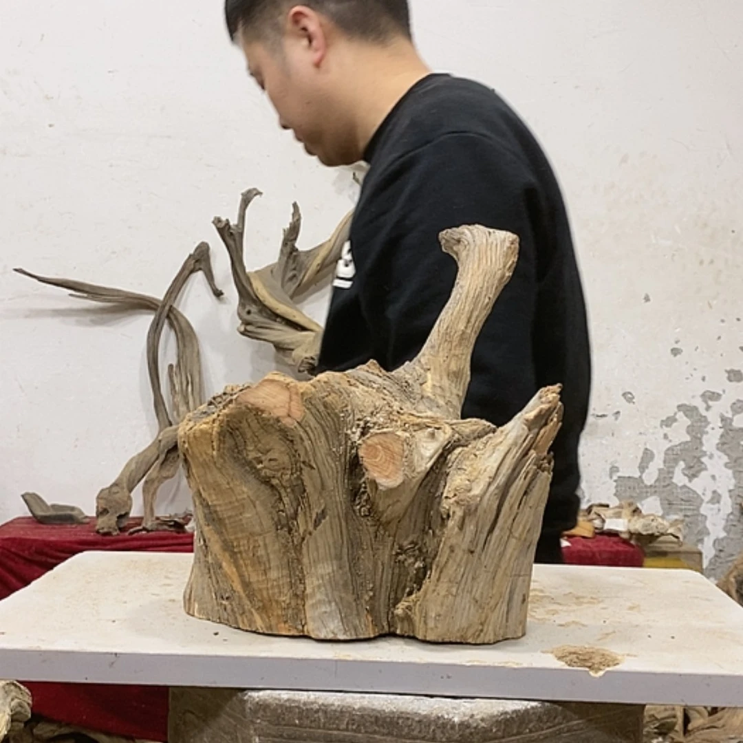 【闪购商品】柏木木****店我们都是好孩子