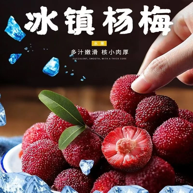 顺丰冷链 杨梅冷冻果泡酒杨梅山杨梅茡荠杨梅酸甜泡酒专用野杨梅