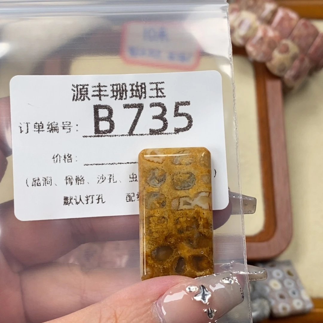 *****硅化玉未镶嵌颈饰