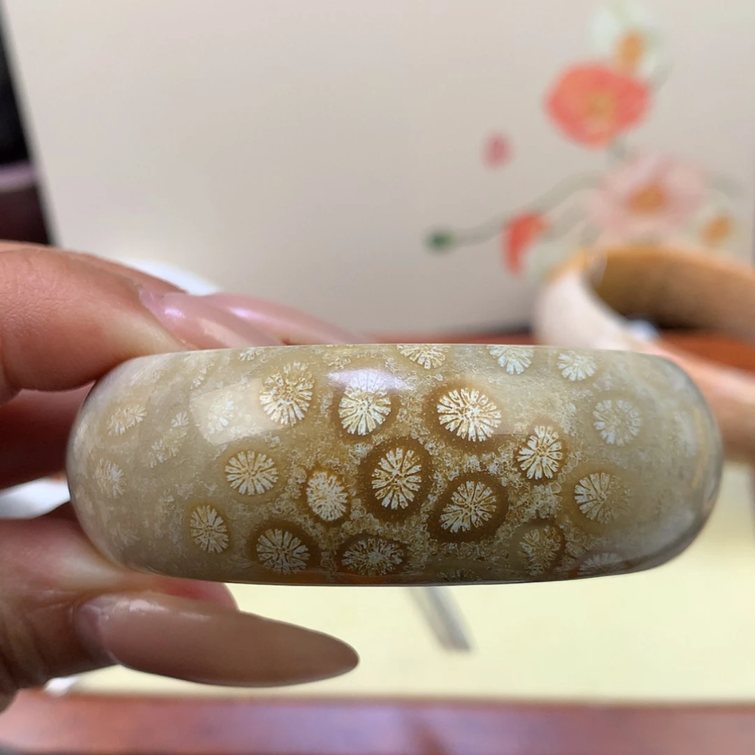 【闪购商品】颈饰未镶嵌硅化珊瑚（珊瑚玉）25号51.2