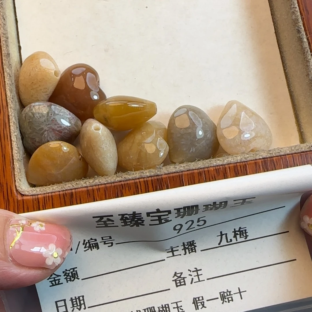 硅化珊瑚（珊瑚玉）未镶嵌颈饰