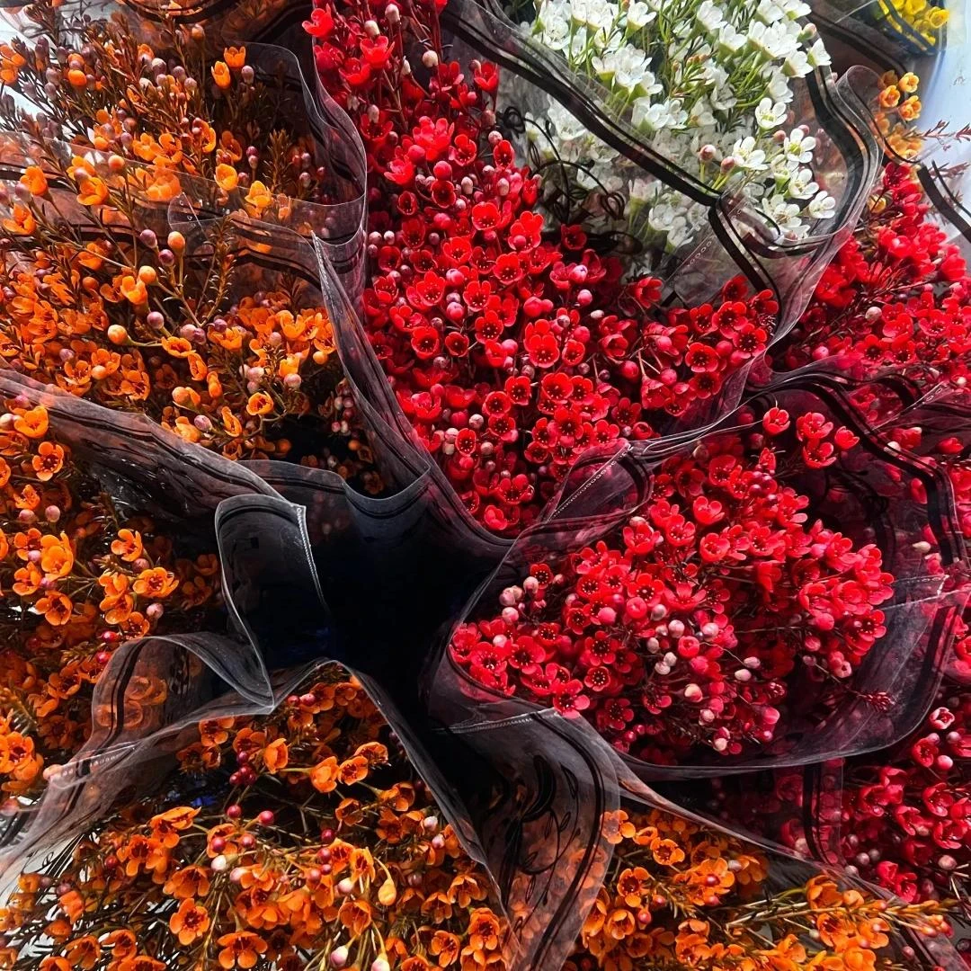 【腊梅】鲜切花家养鲜花 昆明基地直发