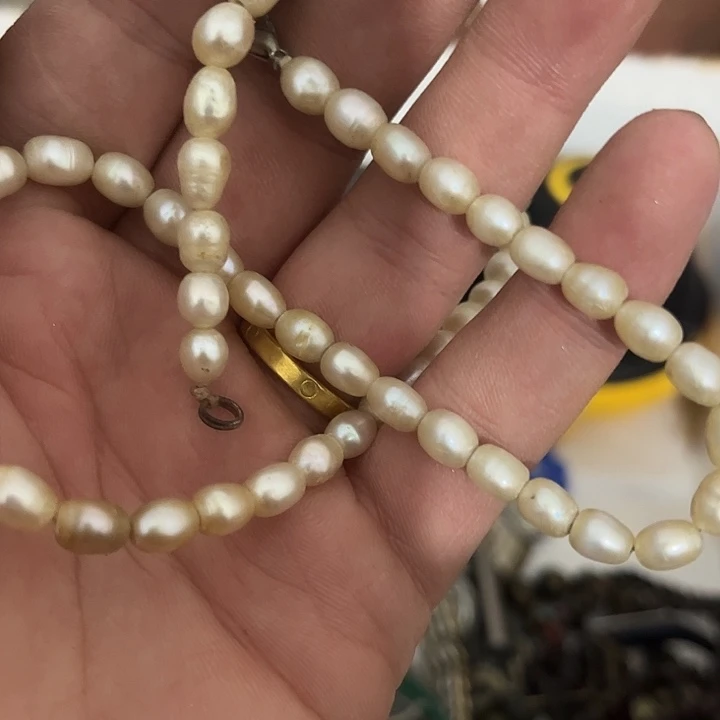 初***寒杂色豆（科檀/科特迪瓦檀木）