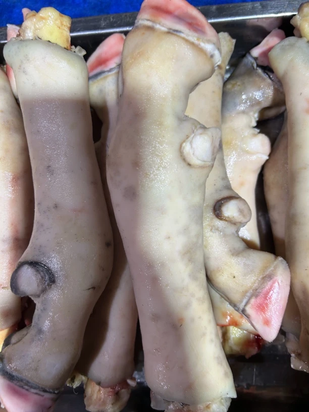 清真羊蹄白色带主筋