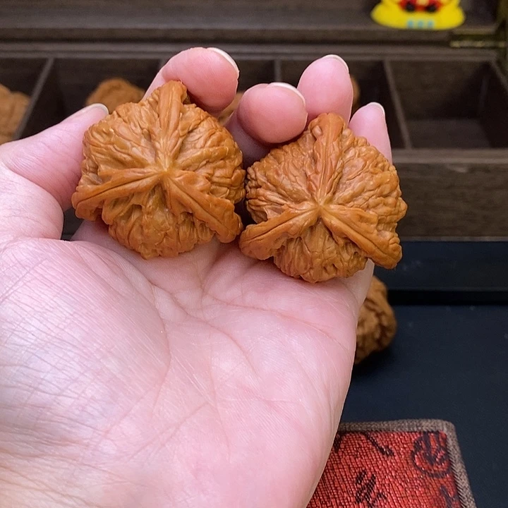 嘉***鸽把件文玩核桃白奔