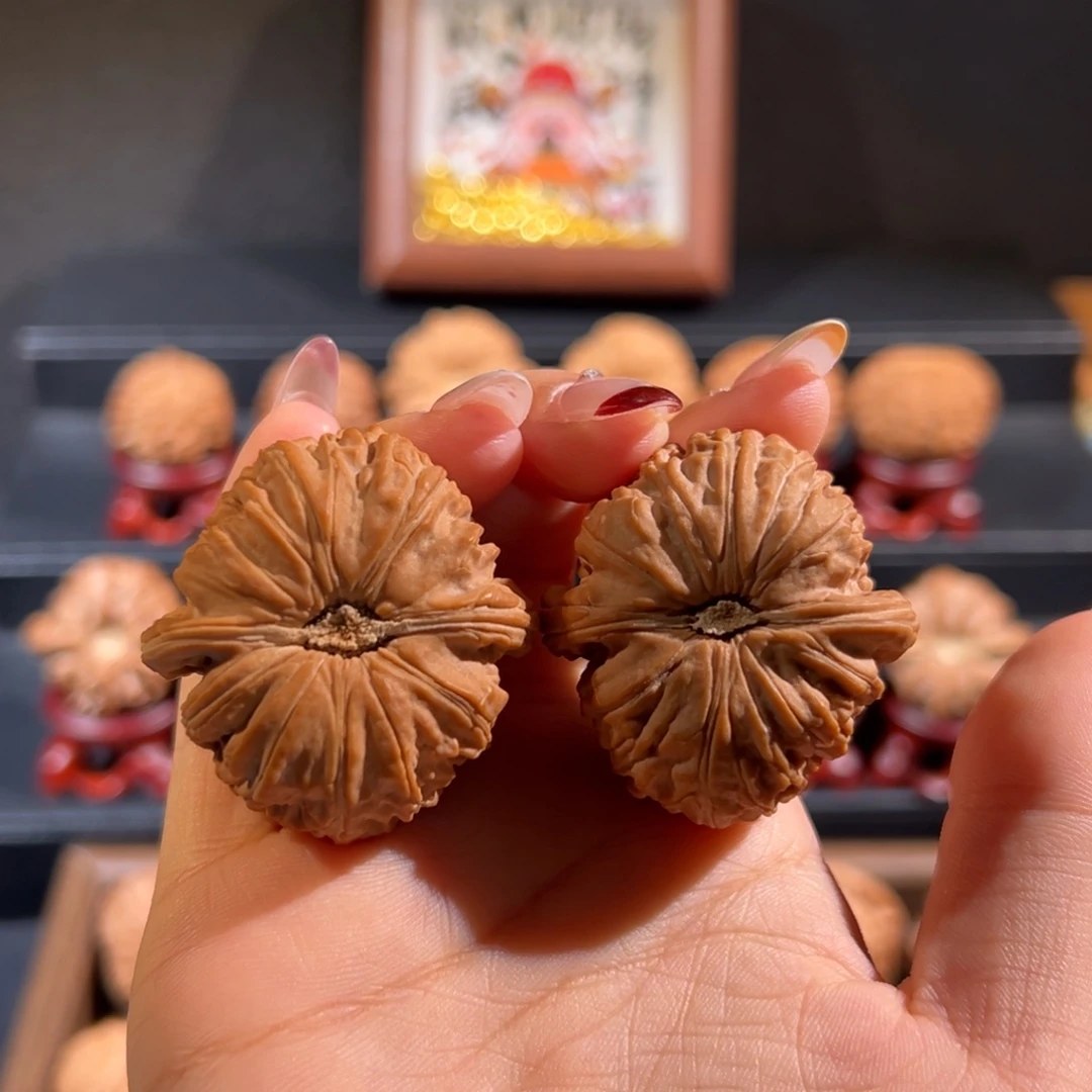 文玩核桃把件白狮子40
