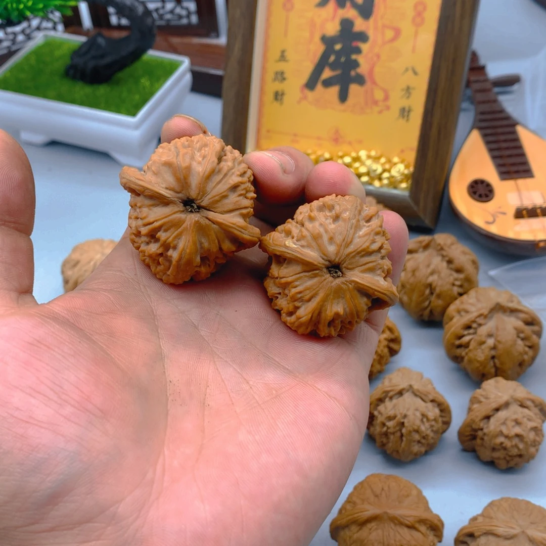@***南文玩核桃红狮子40尺