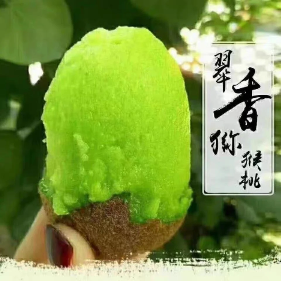 陕西新鲜翠香猕猴桃，产地直发当季新鲜绿心奇异果香甜爽口