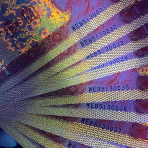 第四版金麟圣龙标十➕中国红标十