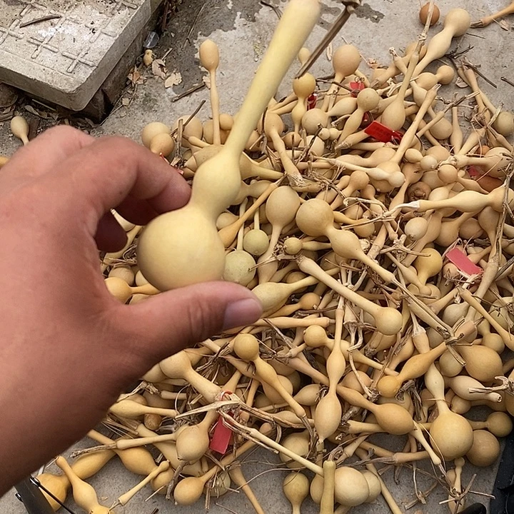 九***司手把精品文玩葫芦