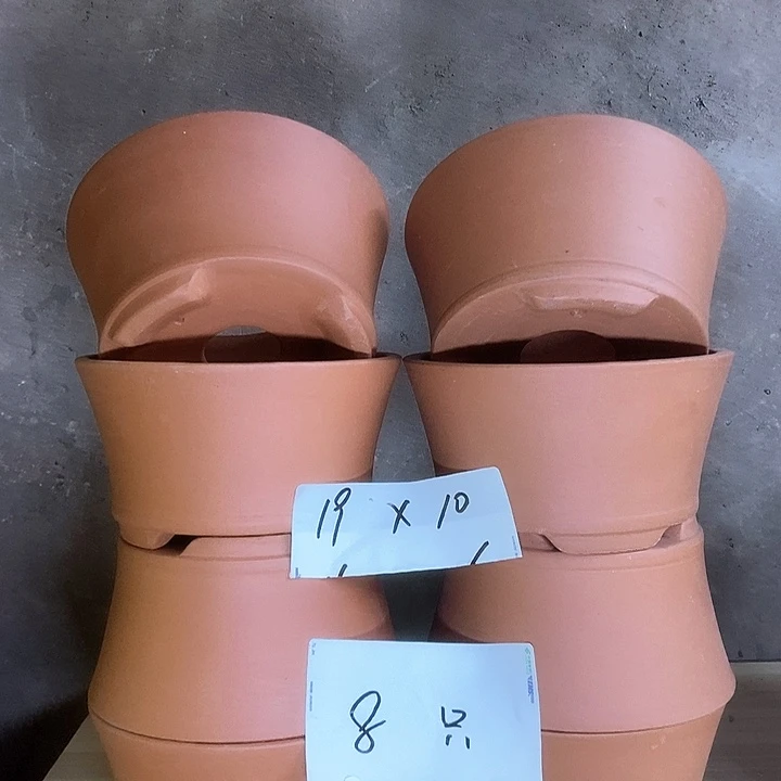 花盆紫砂我在外面