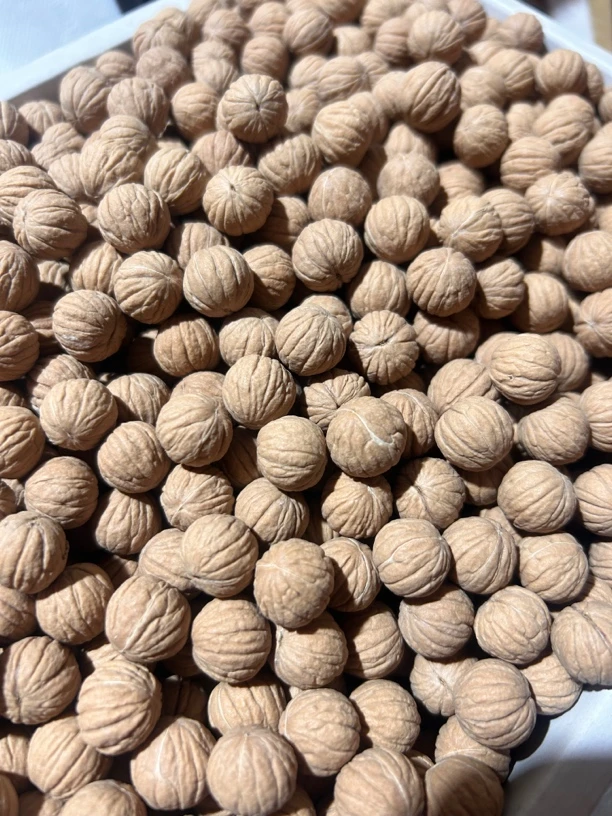 小馒头原桩原色散籽小尺寸20粒体验款（若需打孔 记得备注哈）