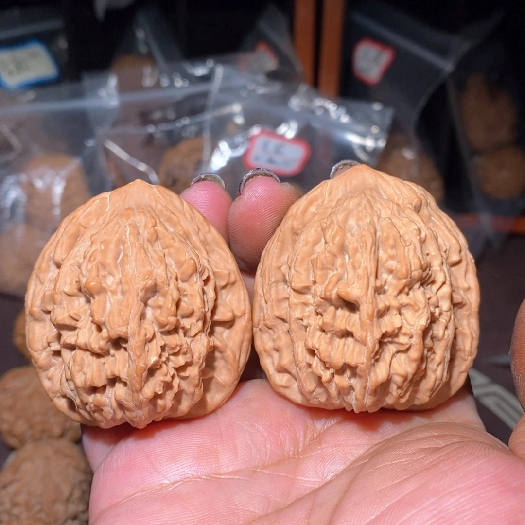 核桃老树果麦穗虎头树