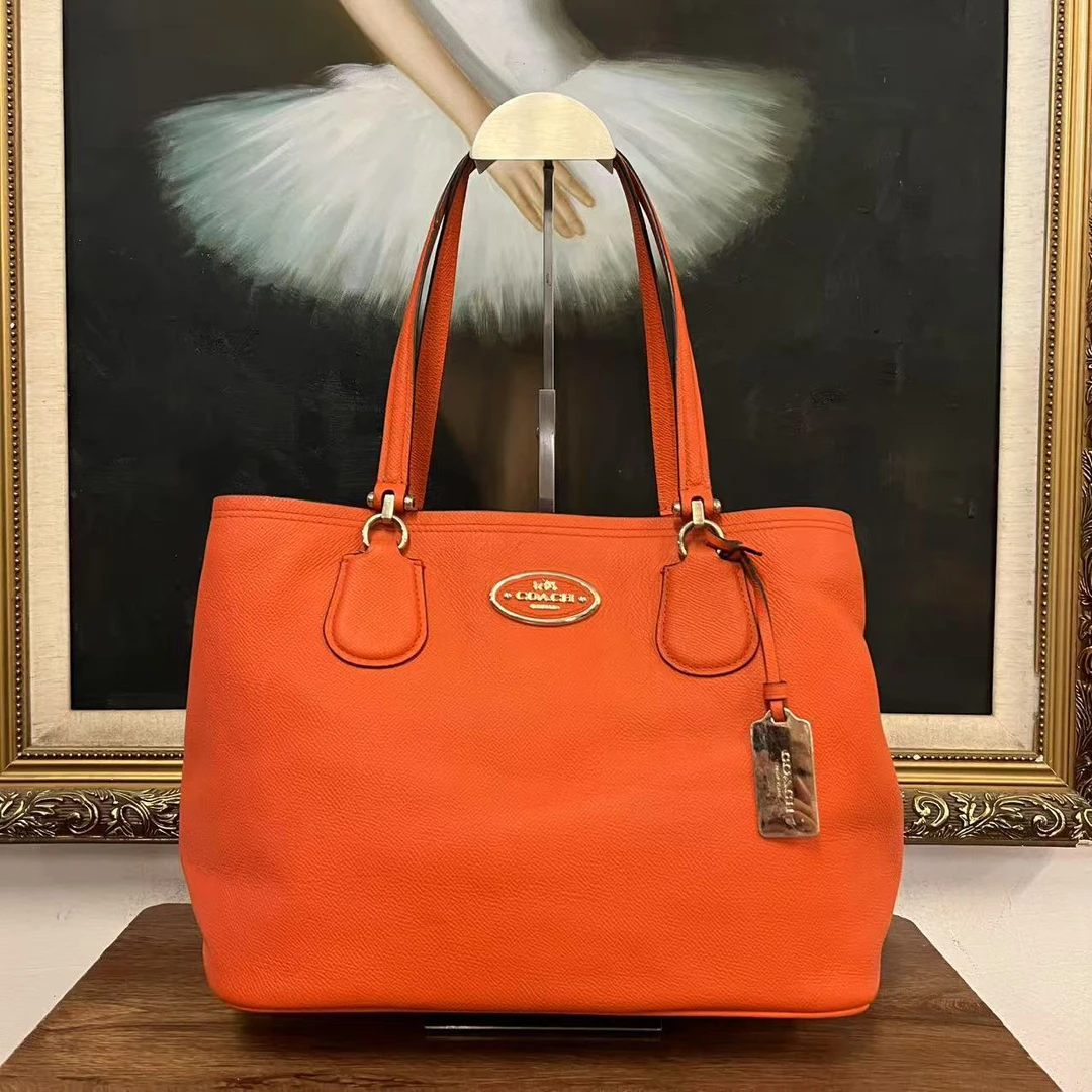 95新 COACH/蔻驰 coach单肩包/97603