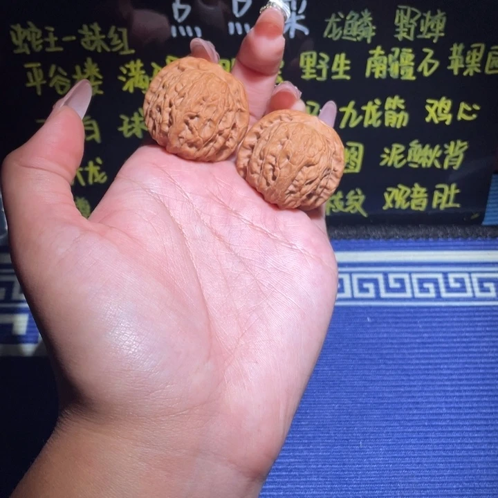 38龙胆元宝107 111
