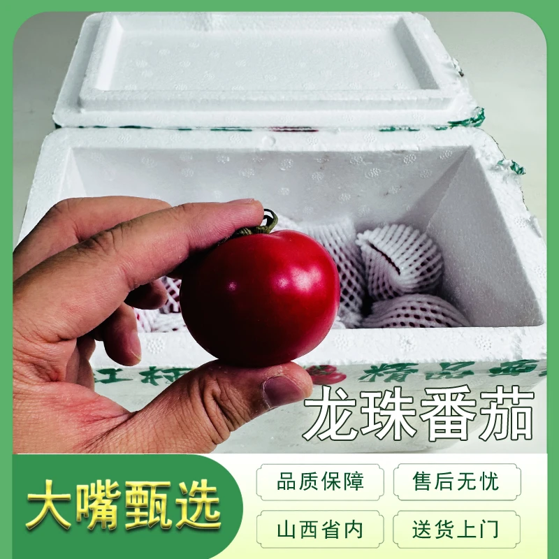 【泡沫箱】龙珠番茄水果西红柿 新鲜爆汁 带箱2斤左右 只发山西省内