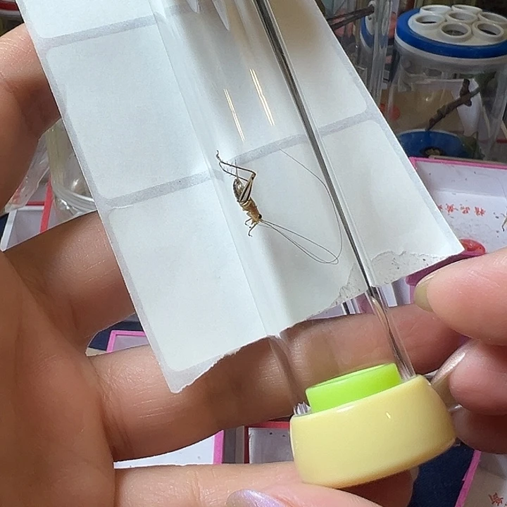 暗端加罐哈哈哈哈哈哈哈哈哈