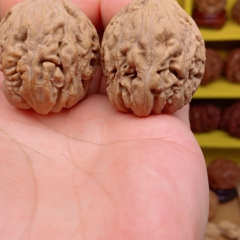 文玩核桃把件东北秋子核桃55