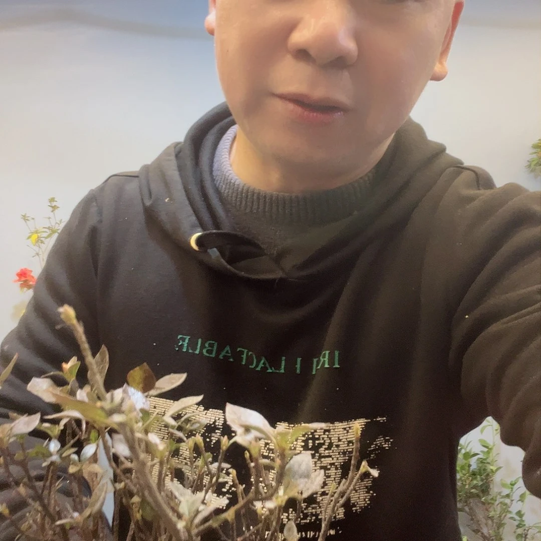 用****1杜鹃花海里飘荡而来