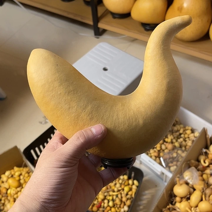 美*满葫芦葫芦葫芦葫芦葫芦葫芦