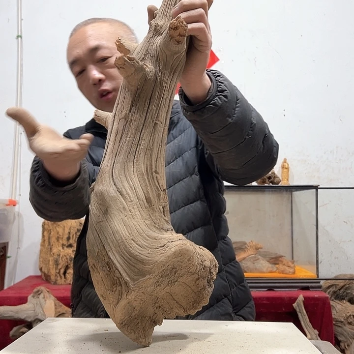 柏木纸**迷我们的生活也是如此