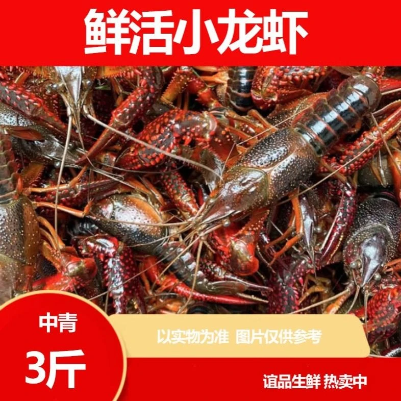 小龙虾(中) 3斤