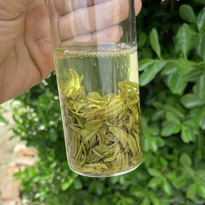 风选的黄片茶2025新茶口粮茶有飘叶不好看介意外形勿拍