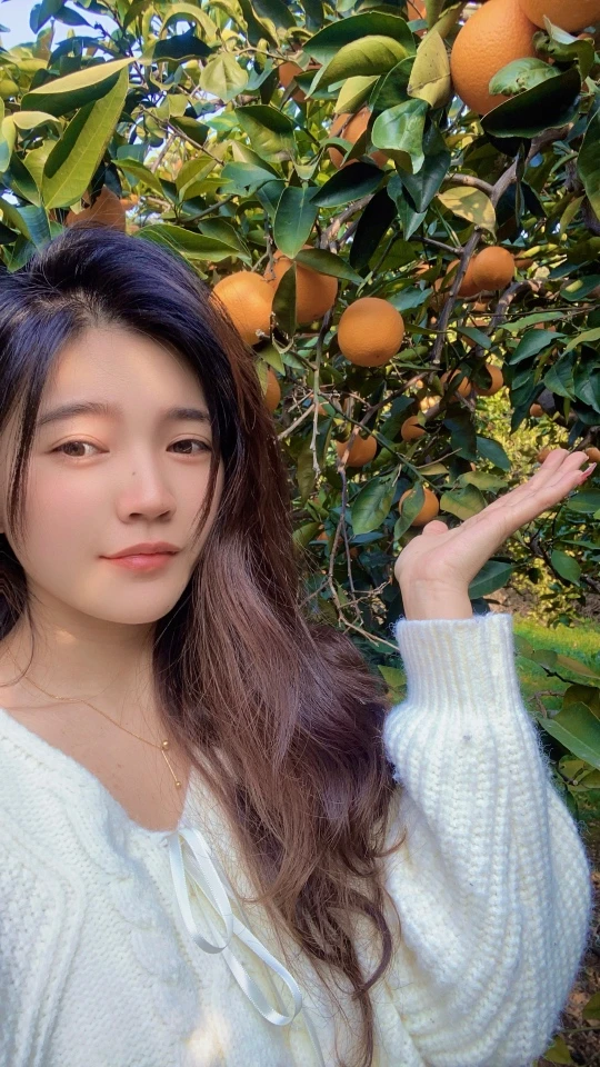 奉节脐橙现摘现发