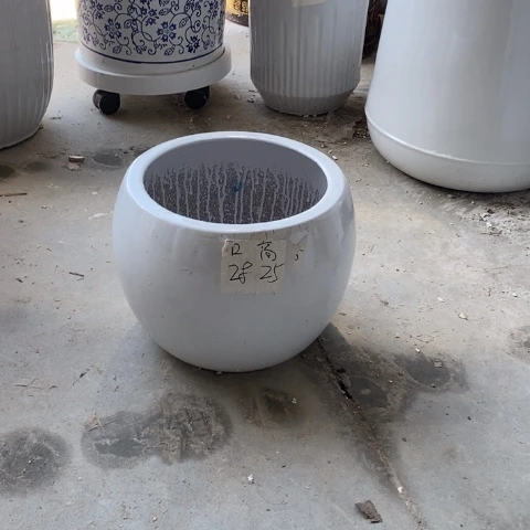 白圆球大号 口28/25