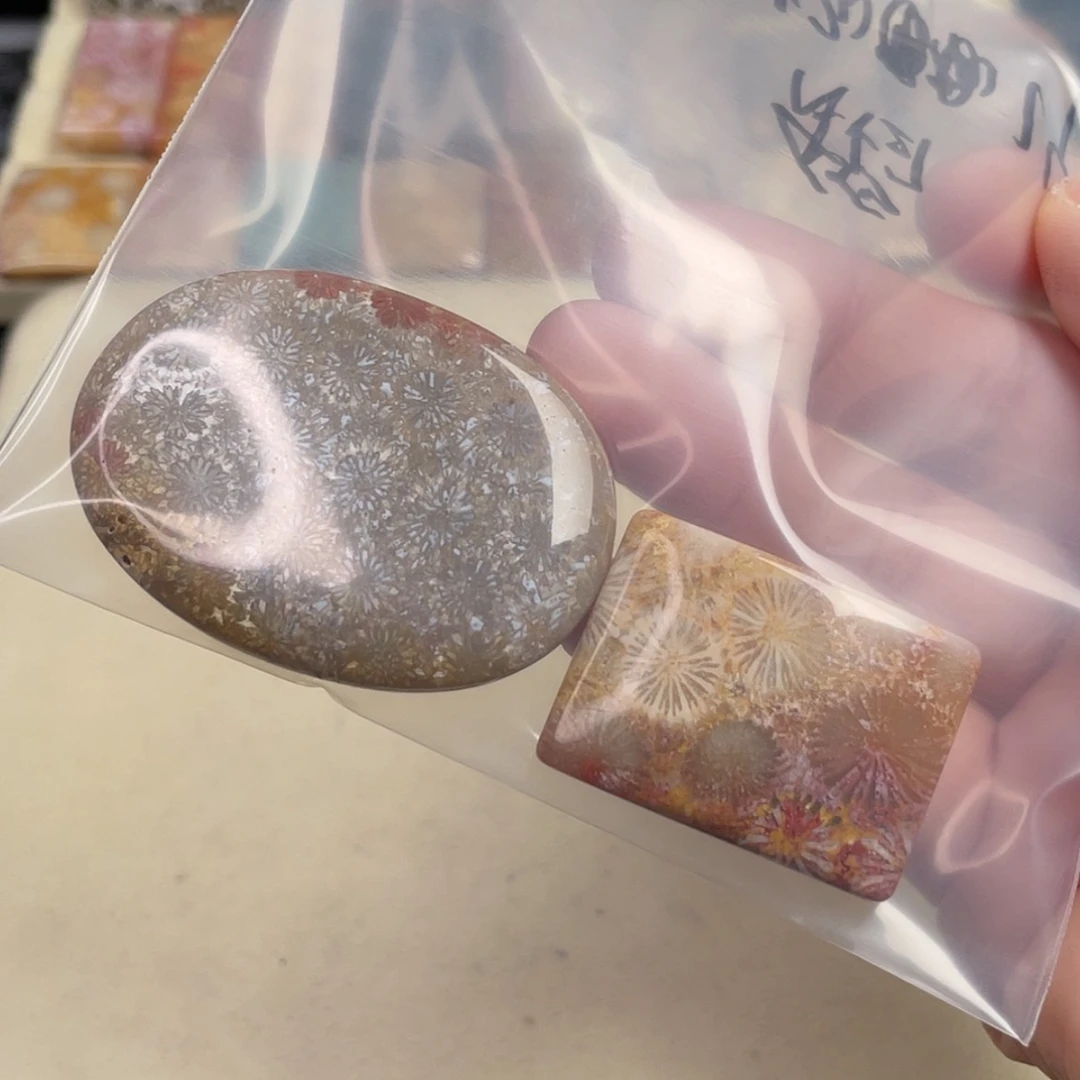 【闪购商品】未镶嵌吊坠(赠链)硅化玉稻*