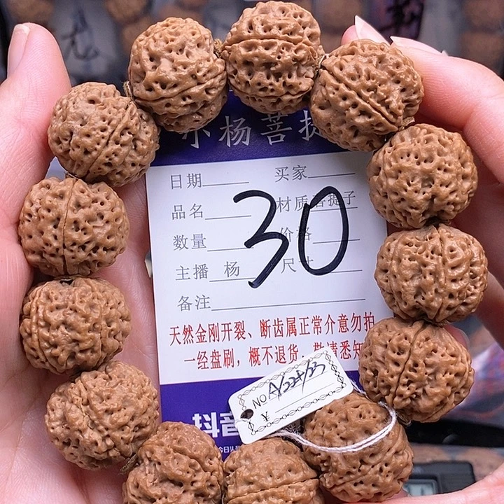 手串金刚菩提22.5/23铁骨双龙