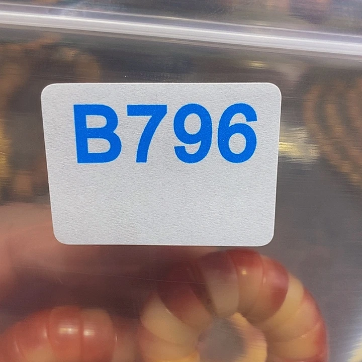 香榧木用****2黑檀木、796