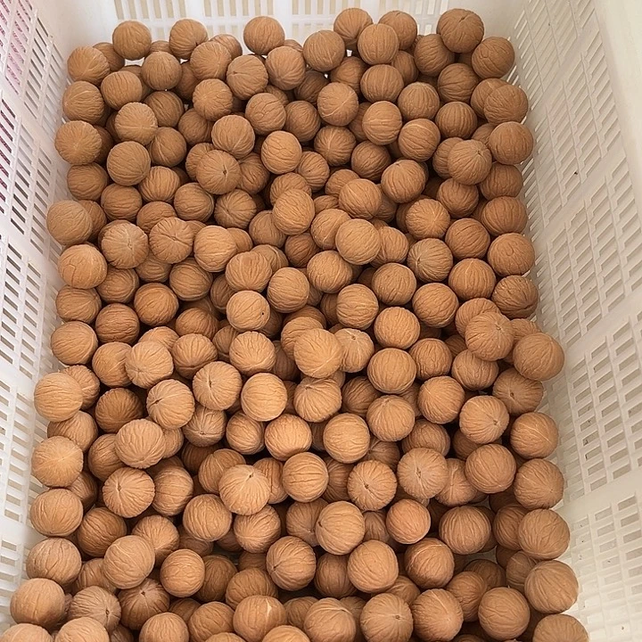 手串猴头核桃凤羽散珠拍50颗送50颗