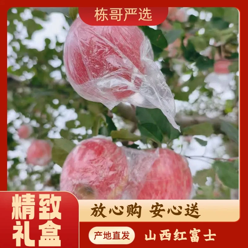 栋哥严选山西运城红富士冰糖心苹果纸加膜苹果