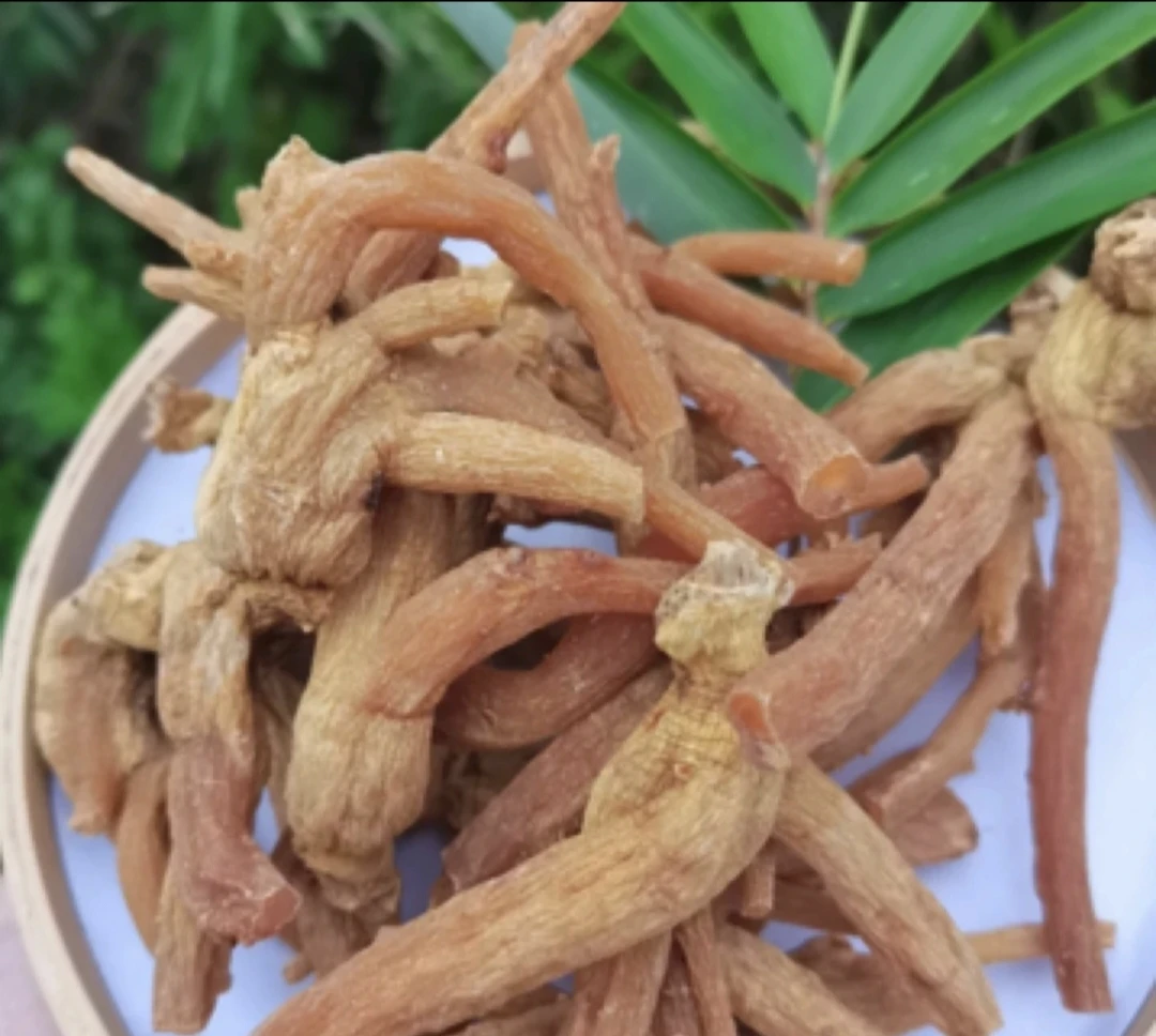 小宇专属农家龙爪参