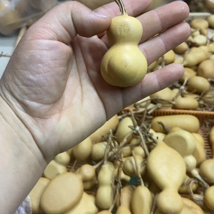 予***你予你予你恭喜发财