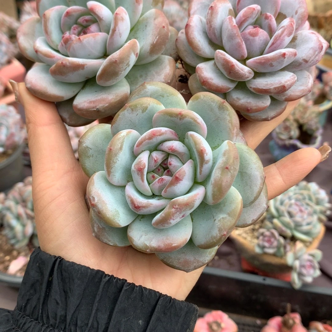 哈哈哈哈哈哈哈哈哈哈