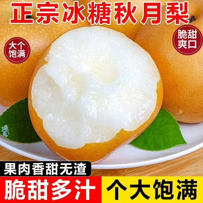 【顺丰彩箱】正宗山东秋月梨新鲜水果梨子脆甜多汁净重4.5斤应季