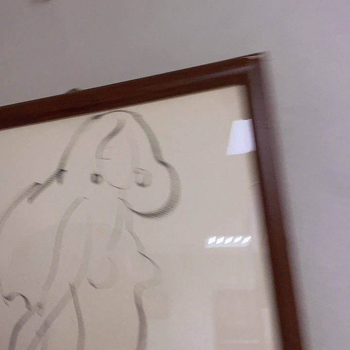 国画听田鉴真田老师推荐精品